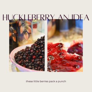 Huckleberry An Idea