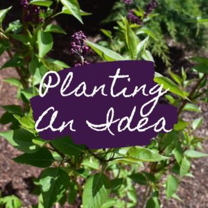 Planting An Idea