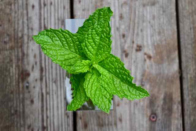 Image Of Mint