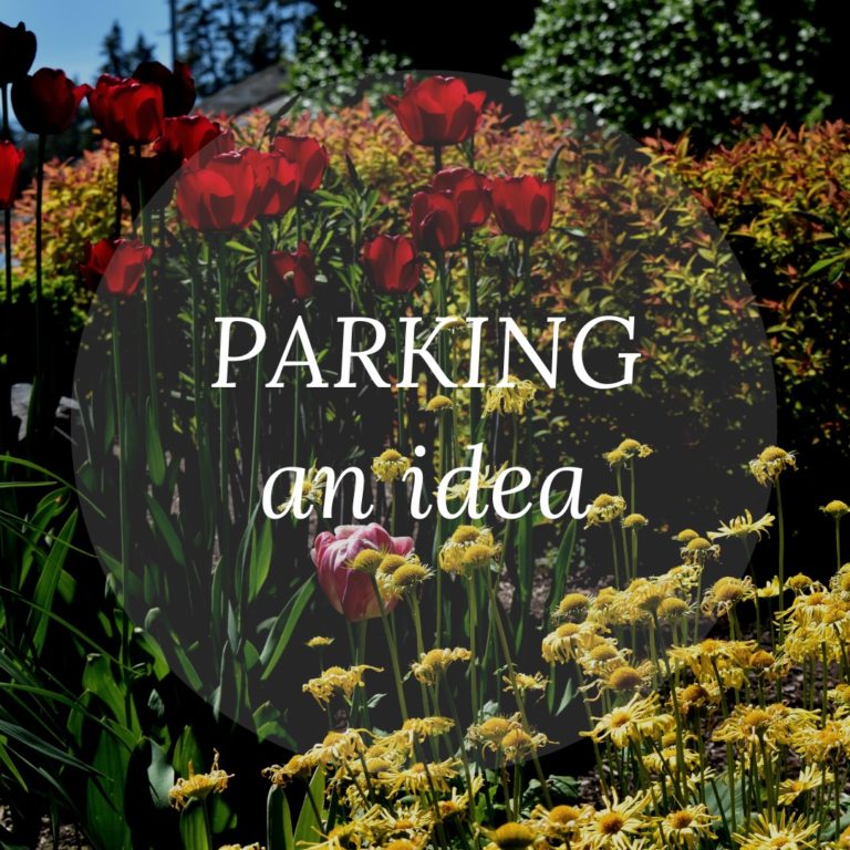 Read more about the article PARKING an idea