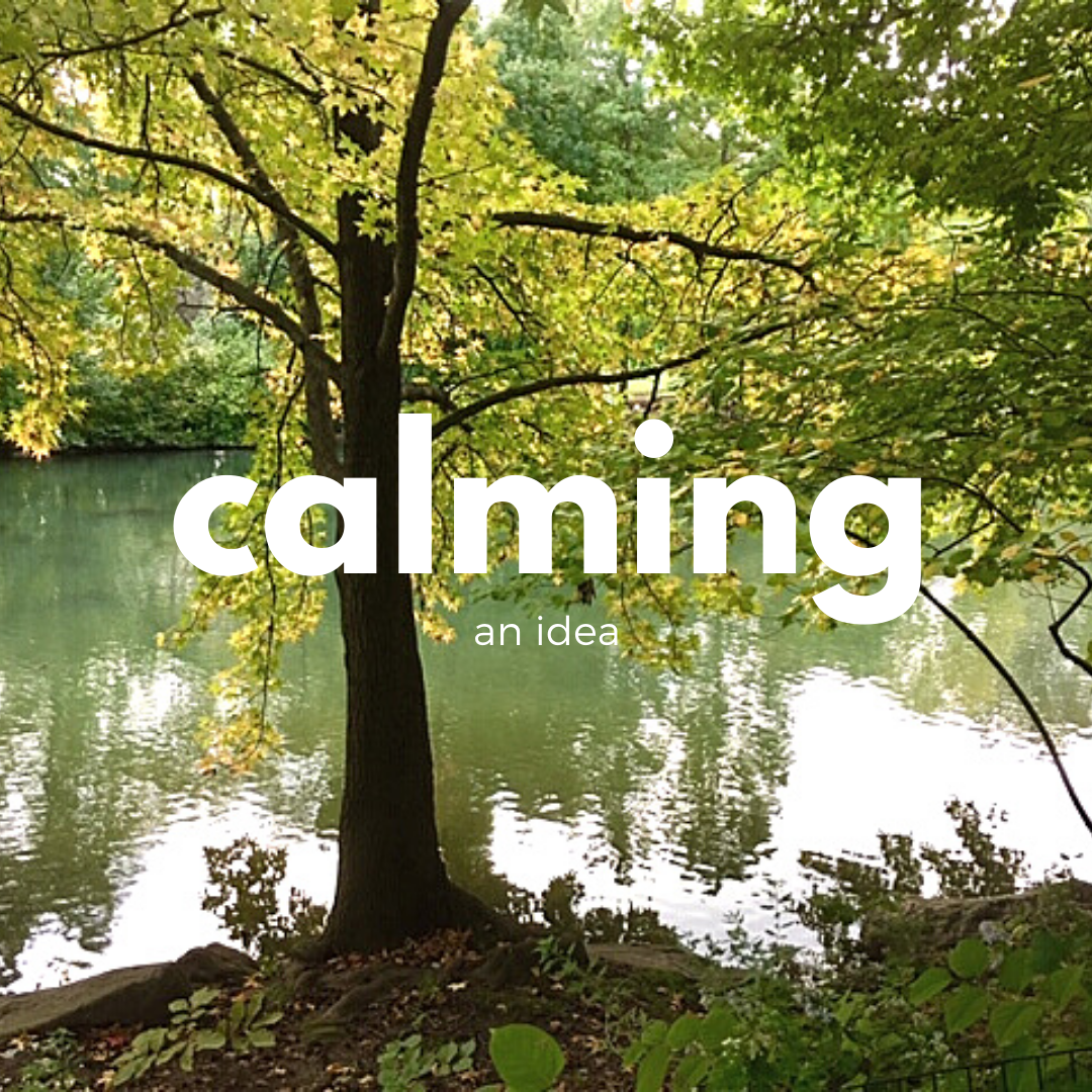 Read more about the article CALMING an idea