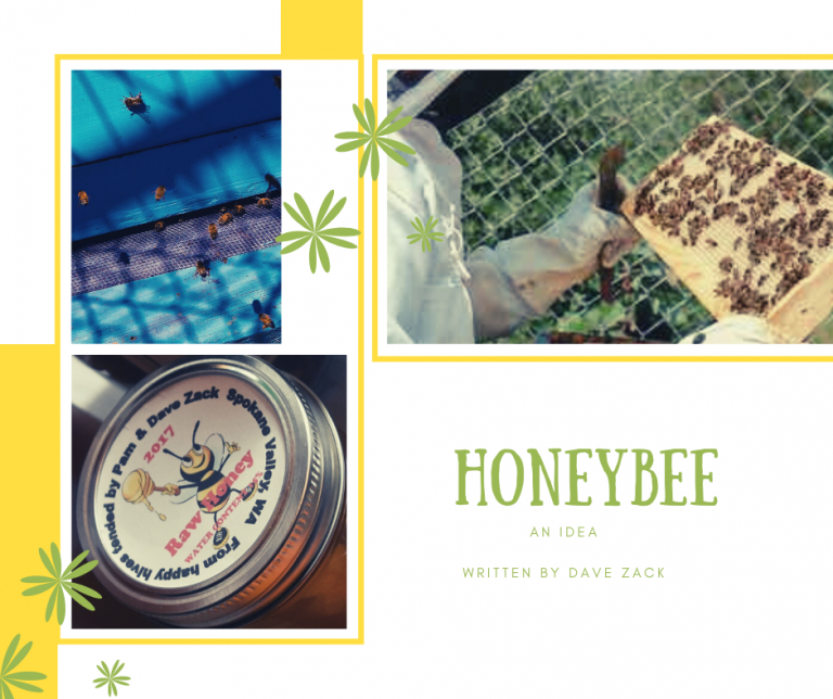 Read more about the article HONEYBEE an idea
