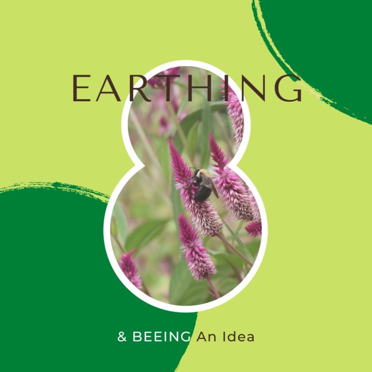 Read more about the article EARTHING & BEEING an idea