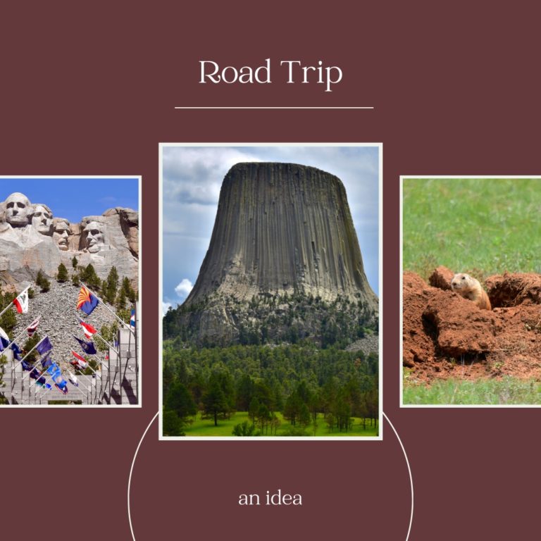 Read more about the article ROAD TRIP an idea