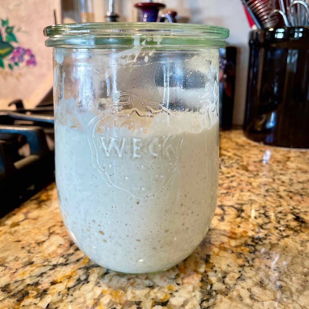 How to feed and use your sourdough starter