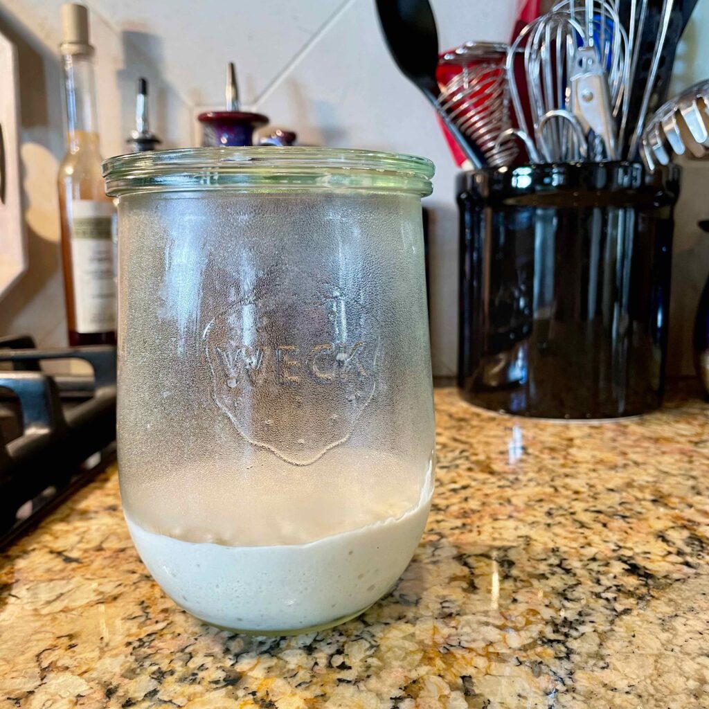 How to feed and use your sourdough starter