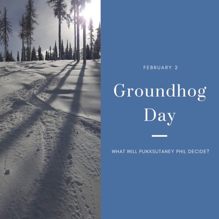 Read more about the article GROUNDHOG DAY an idea