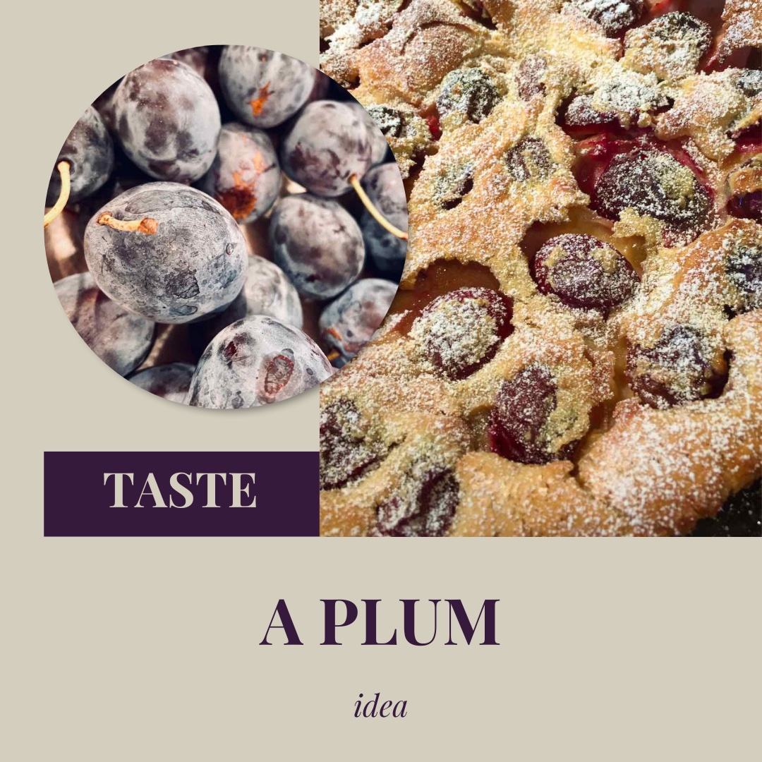 Read more about the article A PLUM idea