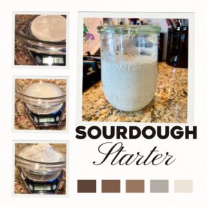 Sourdough Starter - How to start and care for a sourdough starter