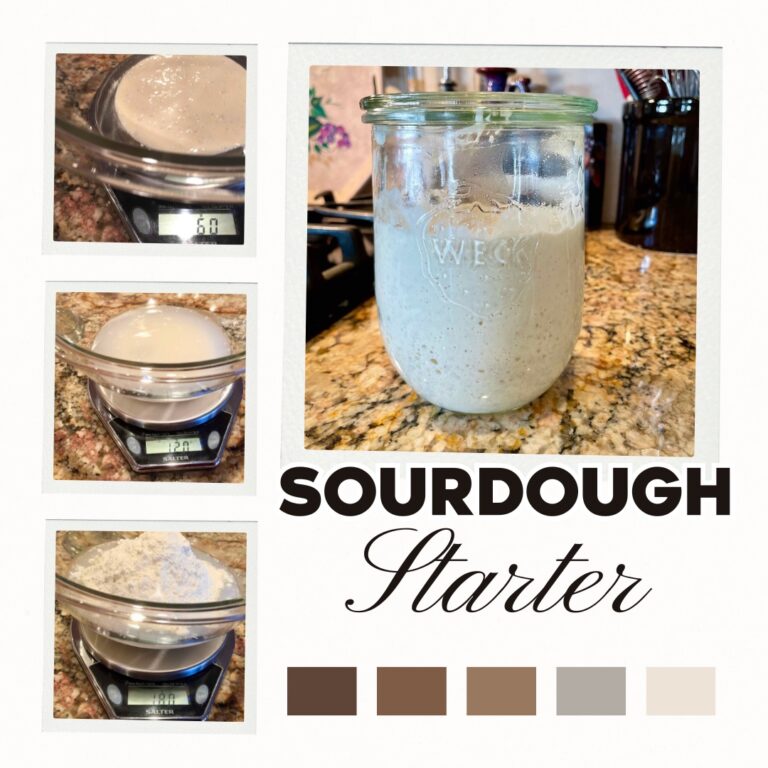 Read more about the article STARTING sourdough