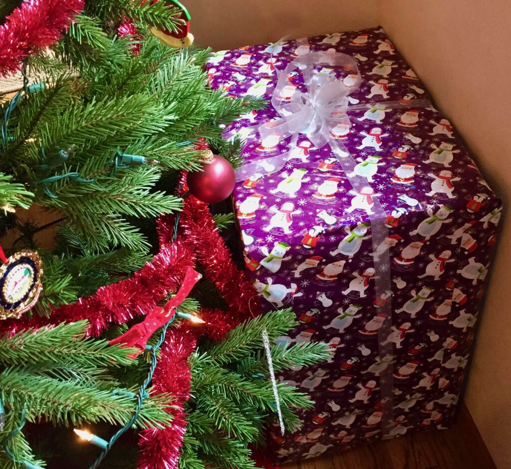 My Bernina sewing machine for Christmas 2020